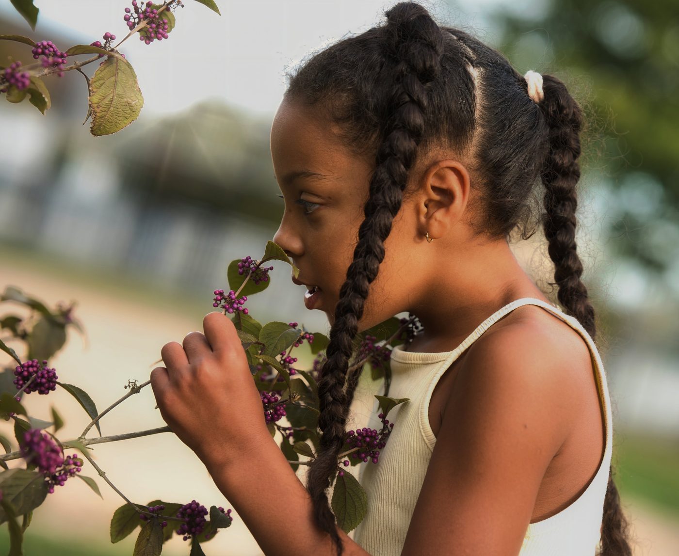 Fillette aux tresses, de profil, qui observe des baies violettes